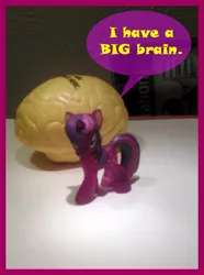 Size: 352x473 | Tagged: safe, artist:drpain, derpibooru import, twilight sparkle, blind bag, brain, figure, irl, photo, speech bubble, text, toy