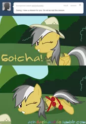 Size: 663x950 | Tagged: artist:drumblastingquilava, ask, askdashanddo, daring do, derpibooru import, safe, solo, tumblr