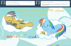 Size: 1280x840 | Tagged: artist:drumblastingquilava, ask, askdashanddo, daring do, derpibooru import, rainbow dash, safe, tumblr