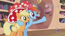 Size: 1016x568 | Tagged: safe, derpibooru import, screencap, applejack, rainbow dash, earth pony, pegasus, pony, daring don't, season 4, apple hat, duo, female, golden oaks library, hat, mare, party hat, party stetson