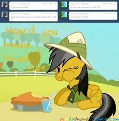 Size: 1280x1301 | Tagged: artist:drumblastingquilava, ask, askdashanddo, daring do, derpibooru import, safe, solo, tumblr