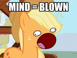 Size: 480x360 | Tagged: applejack, derpibooru import, mind blown, reaction image, safe, solo, sweetie derelle