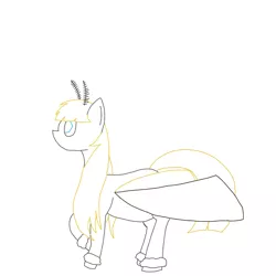 Size: 1024x1024 | Tagged: artist needed, derpibooru import, mothpony, moth pony general, oc, oc:hexferry, original species, safe, solo, unofficial characters only