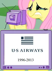 Size: 440x600 | Tagged: airline, crying, derpibooru import, exploitable meme, fluttercry, fluttershy, logo, meme, obligatory pony, plane, sad, safe, tv meme, us airways