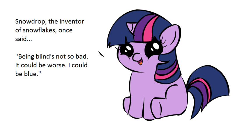 Size: 1194x668 | Tagged: blind joke, derpibooru import, filly twilight sparkle, filly twilight telling an offensive joke, joke, meme, obligatory pony, oc, oc:snowdrop, safe, solo, text, twilight sparkle, vulgar