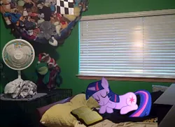 Size: 1442x1047 | Tagged: artist:alerkina2, artist:mysteriousbrony, bed, binder, book, derpibooru import, fan, irl, photo, plushie, ponies in real life, safe, sleeping, solo, twilight sparkle, vector