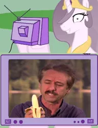 Size: 577x750 | Tagged: banana, derpibooru import, exploitable meme, meme, obligatory pony, princess celestia, princess molestia, ray comfort, safe, tv meme