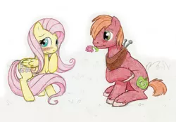 Size: 1500x1043 | Tagged: safe, artist:tenchi-outsuno, derpibooru import, big macintosh, fluttershy, earth pony, pony, fluttermac, male, shipping, stallion, straight, traditional art