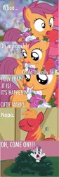 Size: 636x1896 | Tagged: safe, derpibooru import, apple bloom, big macintosh, scootaloo, sweetie belle, earth pony, pegasus, pony, unicorn, flight to the finish, blank flank, bush, bushicorn, comic, cutie mark, cutie mark crusaders, eyes closed, female, filly, male, meta, nope, oh come on, stallion, teasing, text, wreath