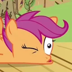 Size: 345x345 | Tagged: safe, derpibooru import, screencap, scootaloo, flight to the finish, derp, faic, solo