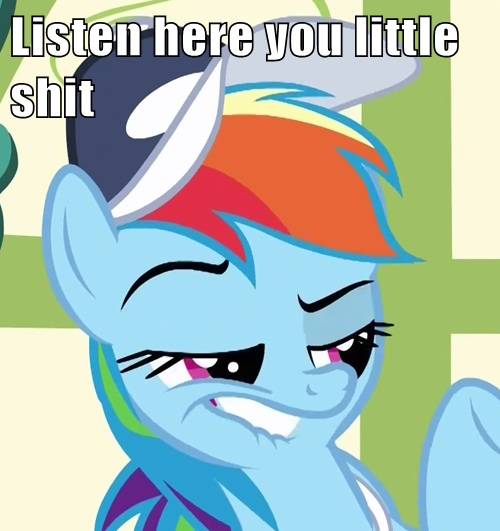 Size: 500x531 | Tagged: derpibooru import, dreamworks face, flight to the finish, image macro, rainbow dash, reaction image, safe, smugdash, solo, vulgar