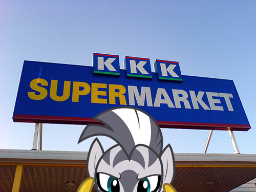 Size: 500x375 | Tagged: semi-grimdark, derpibooru import, zecora, zebra, finland, irl, kkk supermarket, ku klux klan, photo, ponies in real life, racism, solo