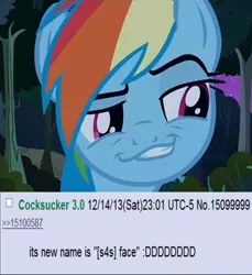 Size: 842x918 | Tagged: 4chan, 4chan get, derpibooru import, get, /mlp/, rainbow dash, shit 4chan says, smirk, smugdash, solo, suggestive, vulgar