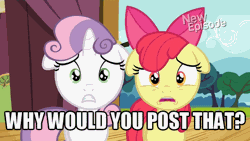 Size: 576x324 | Tagged: adorabloom, animated, apple bloom, cute, derpibooru import, diasweetes, edit, edited screencap, eye shimmer, flight to the finish, floppy ears, hubble, hub logo, image macro, reaction image, safe, screencap, sweetie belle, the hub, why would you post that