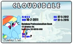 Size: 500x300 | Tagged: safe, derpibooru import, rainbow dash, flight to the finish, derp, license, professionalism, puffy cheeks, solo