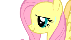 Size: 864x486 | Tagged: 4chan, animated, artist:eirexe, dead source, derpibooru import, fluttershy, oc, oc:anon, soap, suggestive