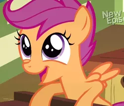 Size: 406x346 | Tagged: safe, derpibooru import, screencap, scootaloo, pegasus, pony, flight to the finish, cropped, cute, cutealoo, female, filly, open mouth, solo, spread wings, wings