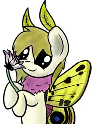 Size: 1875x2524 | Tagged: artist:niksiekins, derpibooru import, flower, mothpony, oc, original species, safe, solo, unofficial characters only