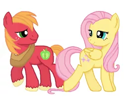 Size: 700x545 | Tagged: safe, artist:thecat101, derpibooru import, big macintosh, fluttershy, earth pony, pony, fluttermac, male, shipping, stallion, straight