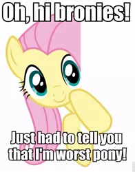 Size: 675x863 | Tagged: background pony strikes again, blatant lies, downvote bait, drama bait, fluttershy, image macro, mouthpiece, obvious troll, roflbot, safe, shitposting, solo, why, worst pony