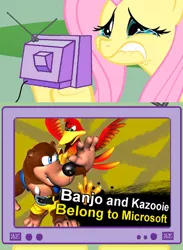 Size: 500x684 | Tagged: banjo kazooie, derpibooru import, exploitable meme, fluttercry, fluttershy, hilarious in hindsight, meme, microsoft, obligatory pony, parody, rareware, safe, super smash bros., super smash bros. 4, tv meme