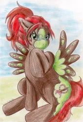 Size: 698x1024 | Tagged: artist:diablicka, derpibooru import, oc, safe, solo, traditional art, unofficial characters only