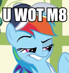 Size: 813x863 | Tagged: caption, derpibooru import, dreamworks face, faic, flight to the finish, hat, image macro, lip bite, meme, rainbow dash, safe, screencap, solo, u wot m8