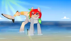 Size: 1933x1118 | Tagged: artist:raponee, augmented tail, derpibooru import, oc, ocean, original species, safe, shark, shark pony, solo, unofficial characters only, water