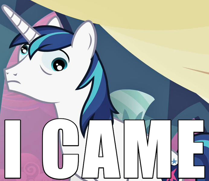 Size: 750x650 | Tagged: a canterlot wedding, caption, cropped, derp, derpibooru import, edit, edited screencap, i came, image macro, implied orgasm, reaction image, screencap, shining armor, solo, suggestive