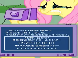 Size: 720x540 | Tagged: analog, analog tv, crying, derpibooru import, exploitable meme, fluttershy, japan, japanese, meme, obligatory pony, sad, safe, shutdown, television, text, tv meme