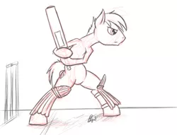 Size: 800x611 | Tagged: safe, artist:bingodingo, derpibooru import, bat pony, pony, bipedal, cricket, cricket bat, pun, sketch, solo