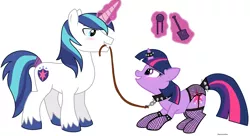 Size: 3256x1776 | Tagged: suggestive, artist:mysterious mew, derpibooru import, shining armor, twilight sparkle, ballgag, bdsm, blushing, clothes, collar, female, fishnets, gag, garter belt, image, incest, leash, lingerie, male, panties, pet play, pettwi, png, riding crop, rope, shiningsparkle, show accurate, show accurate porn, stockings, straight, tail wrap, underwear, whip