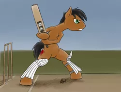 Size: 800x611 | Tagged: safe, artist:bingodingo, derpibooru import, oc, unofficial characters only, bat pony, pony, cricket, cricket bat, pun, solo