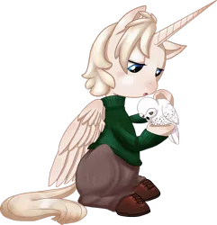 Size: 870x902 | Tagged: safe, artist:hollowzero, derpibooru import, oc, oc:pearly gates, unofficial characters only, alicorn, owl, pony, alicorn oc, clothes, pants, shoes, sweater
