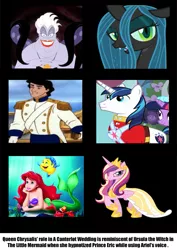 Size: 557x785 | Tagged: ariel, derpibooru import, disney, disney princess, observation, prince eric, princess cadance, safe, seashell, shining armor, similarities, the little mermaid, ursula