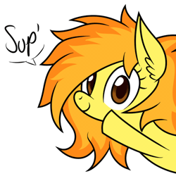 Size: 500x500 | Tagged: animated, artist:wildberry-poptart, cute, cutefire, derpibooru import, safe, solo, spitfire, sup, waving