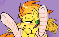 Size: 500x311 | Tagged: suggestive, artist:lightningnickel, derpibooru import, spitfire, pegasus, pony, beautiful, blushing, clothes, clover, featureless crotch, female, four leaf clover, hair accessory, horny, kneesocks, lidded eyes, looking at you, mare, nudity, open mouth, presenting, socks, solo, solo female, spread legs, spread wings, stockings, striped socks, thigh highs, topless, underhoof