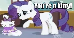 Size: 430x223 | Tagged: artifact, dialogue, edit, edited screencap, hub logo, image macro, opalescence, rarity, roflbot, safe, screencap, sisterhooves social, xkcd