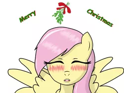 Size: 1600x1200 | Tagged: artist:fluttershy-wins, blushing, christmas, derpibooru import, fluttershy, kissing, mistletoe, safe, solo