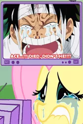 Size: 555x825 | Tagged: ace, crying, dead, depressed, exploitable meme, fluttershy, meme, monkey d luffy, obligatory pony, one piece, portgas d ace, sad, safe, tv meme