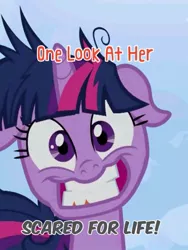 Size: 640x852 | Tagged: crazy face, cropped, derpibooru import, edit, edited screencap, faic, floppy ears, lesson zero, meme, safe, screencap, solo, twilight snapple, twilight sparkle