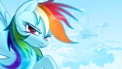 Size: 1920x1080 | Tagged: safe, artist:karl97, artist:proenix, artist:ratchethun, derpibooru import, rainbow dash, pegasus, pony, cloudsdale, ear fluff, lidded eyes, solo, vector, wallpaper