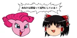 Size: 500x250 | Tagged: safe, artist:carnifex, derpibooru import, pinkie pie, earth pony, pony, yukkuri, forced meme, japanese, meme, pinkieface, touhou