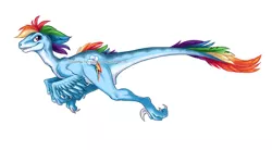 Size: 1280x709 | Tagged: artist:briannacherrygarcia, badass, derpibooru import, dinosaur, dinosaurified, feather, looking back, rainbow dash, rainbow feathers, running, safe, simple background, smiling, smirk, solo, species swap, velocirainbow, velociraptor, watermark, white background