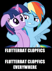 Size: 562x766 | Tagged: bat, clopfic, derpibooru import, grin, rainbow dash, safe, smug, smugdash, text, twilight sparkle, x x everywhere