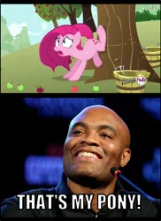 Size: 726x1000 | Tagged: safe, derpibooru import, edit, screencap, pinkie pie, human, magical mystery cure, anderson silva, broken leg, comic, irl, irl human, photo, pinkamena diane pie, swapped cutie marks, tree