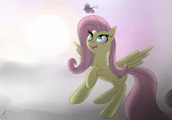 Size: 2000x1400 | Tagged: artist:icanseeyourshed, butterfly, cloud, cloudy, derpibooru import, fluttershy, safe, solo, sunset