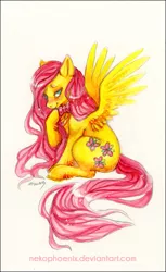 Size: 415x679 | Tagged: artist:nekophoenix, blushing, bowtie, cute, derpibooru import, fluffy, fluttershy, hoof on chin, lidded eyes, long mane, looking at you, safe, simple background, sitting, smiling, solo, spread wings, traditional art, unshorn fetlocks, watercolor painting, white background
