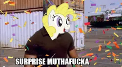 Size: 500x277 | Tagged: derpibooru import, dexter, image macro, james doakes, pun, safe, solo, surprise, surprise motherfucker, vulgar