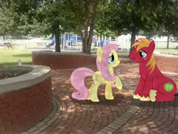 Size: 2592x1944 | Tagged: safe, artist:bobthelurker, artist:kdogfour, artist:tokkazutara1164, derpibooru import, big macintosh, fluttershy, earth pony, pony, bench, fluttermac, irl, male, photo, playground, ponies in real life, shadow, shipping, stallion, straight, tree, vector